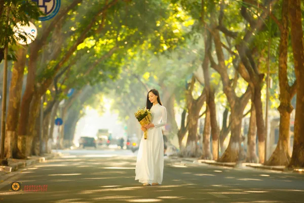 Ảnh phố phan đình phùng
