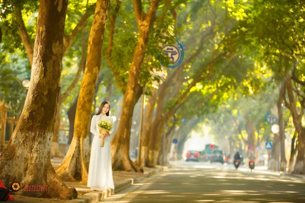 Ảnh phố phan đình phùng