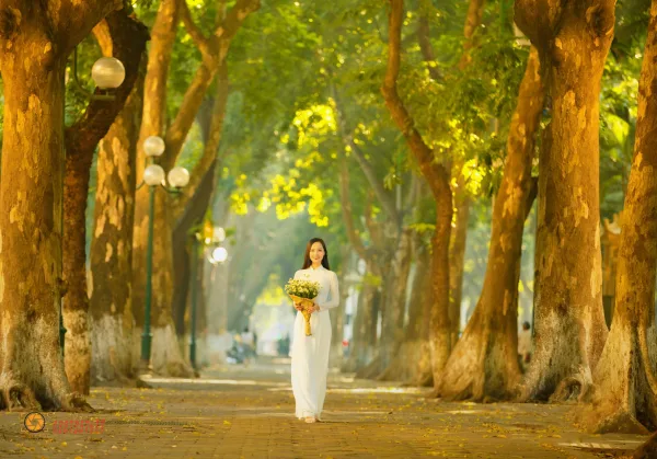 Ảnh phố phan đình phùng