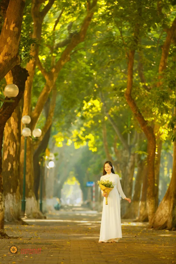 Ảnh phố phan đình phùng