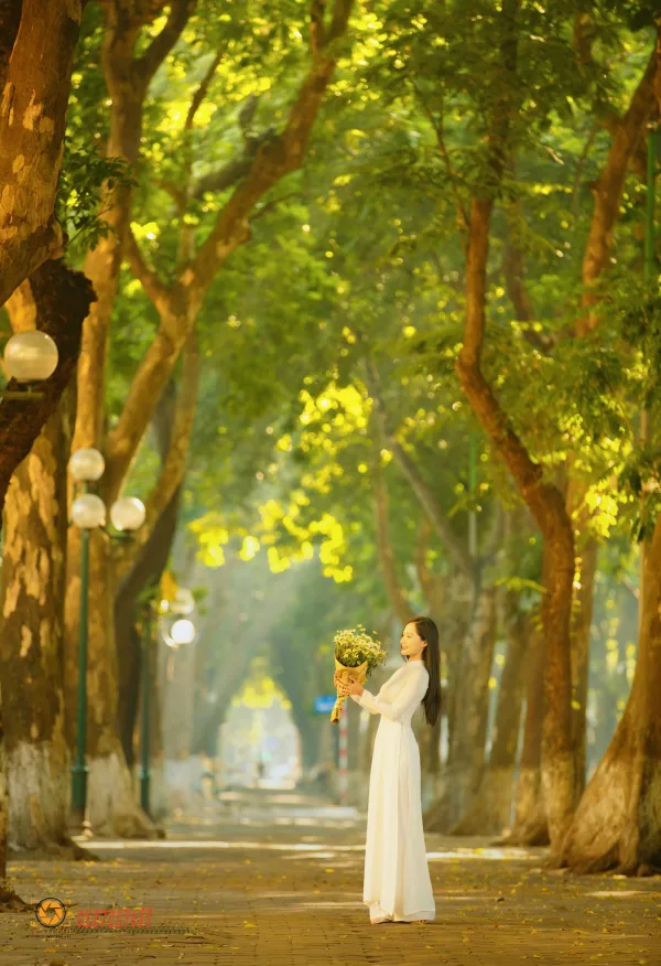 Ảnh phố phan đình phùng