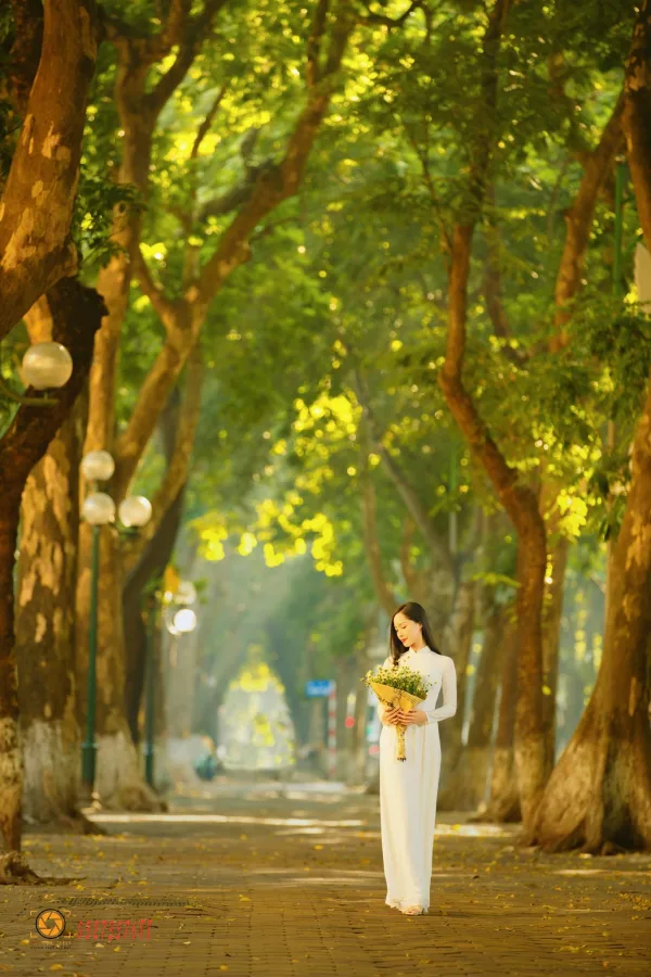 Ảnh phố phan đình phùng
