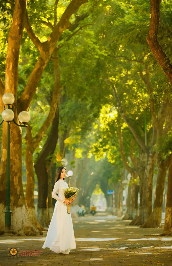 Ảnh phố phan đình phùng