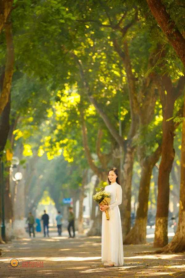 Ảnh phố phan đình phùng