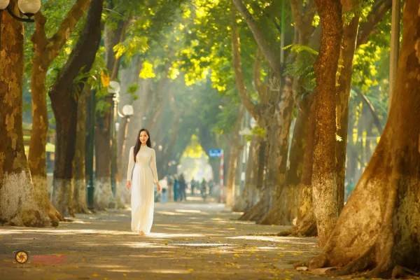 Ảnh phố phan đình phùng