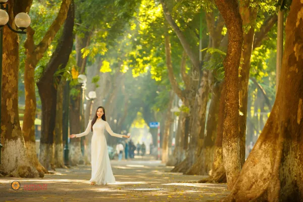 Ảnh phố phan đình phùng