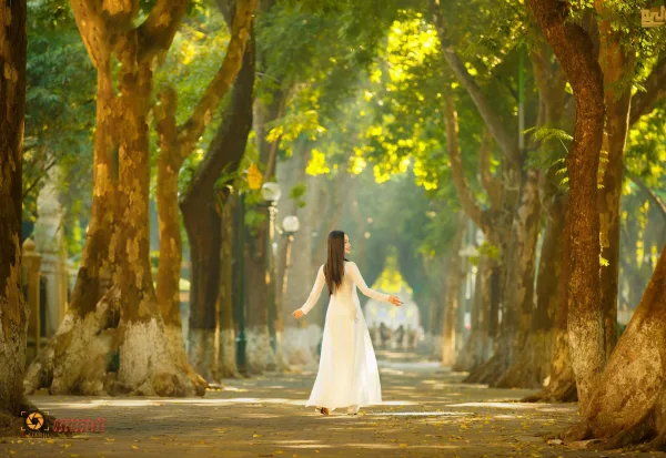Ảnh phố phan đình phùng