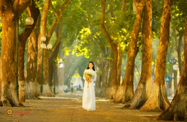 Ảnh phố phan đình phùng