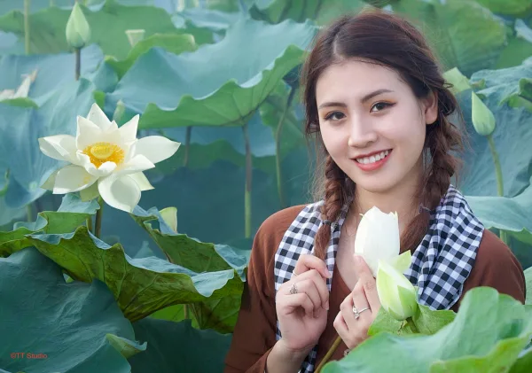 Ảnh hoa sen đẹp