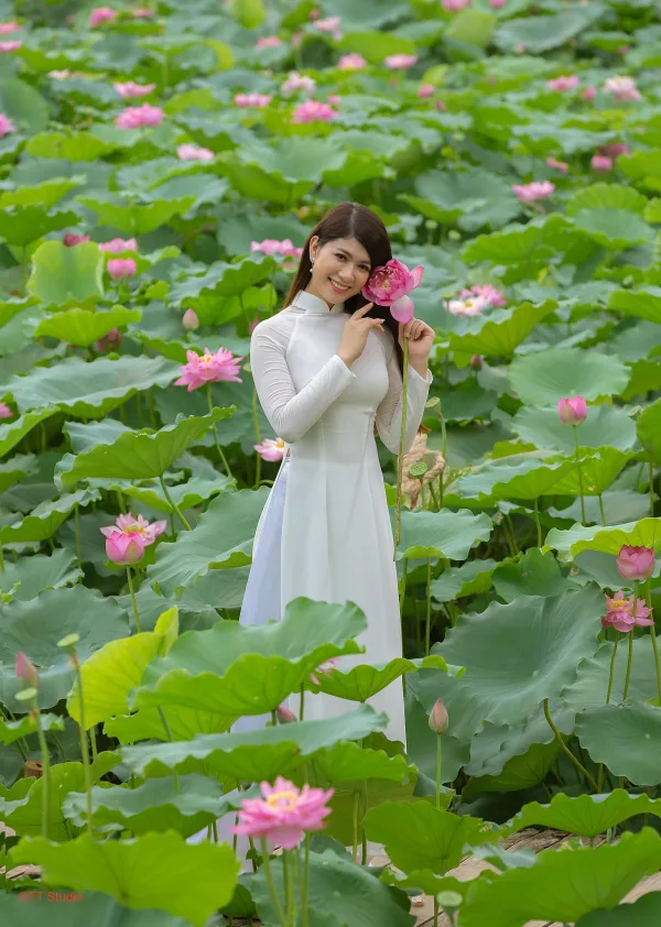 Ảnh hoa sen đẹp