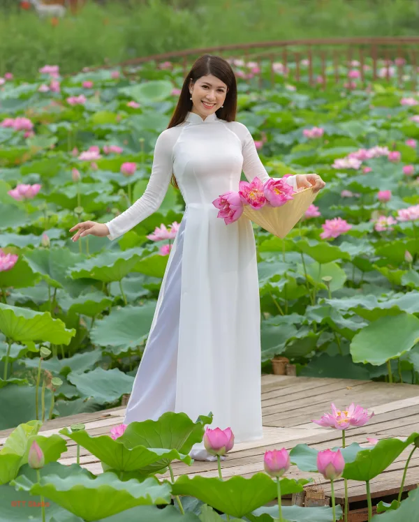 Ảnh hoa sen đẹp