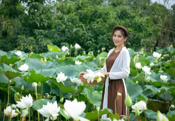 Sen trắng tam hưng