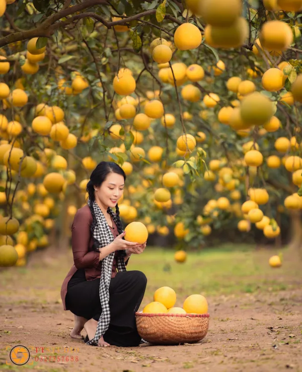 Chụp ảnh Check-in Vườn bưởi Diễn