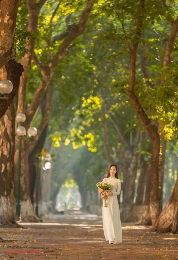 Ảnh Mùa Thu Phan Đình Phùng