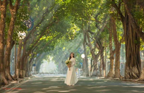 Ảnh Mùa Thu Phan Đình Phùng
