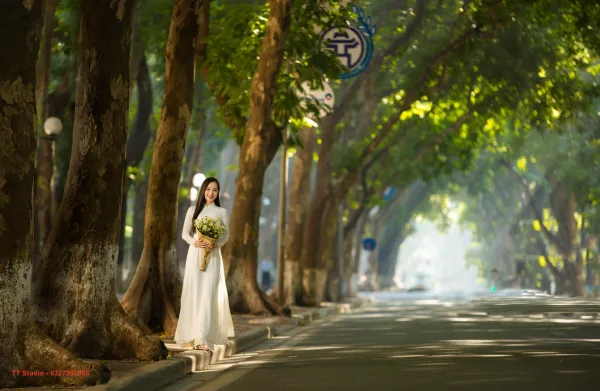 Ảnh Mùa Thu Phan Đình Phùng