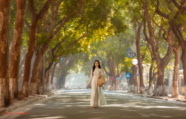 Ảnh Mùa Thu Phan Đình Phùng