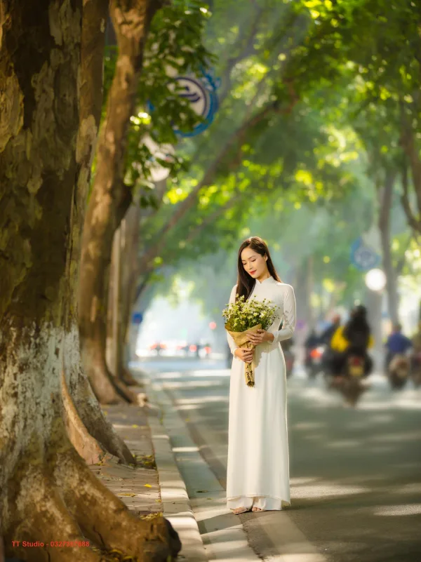 Ảnh Mùa Thu Phan Đình Phùng