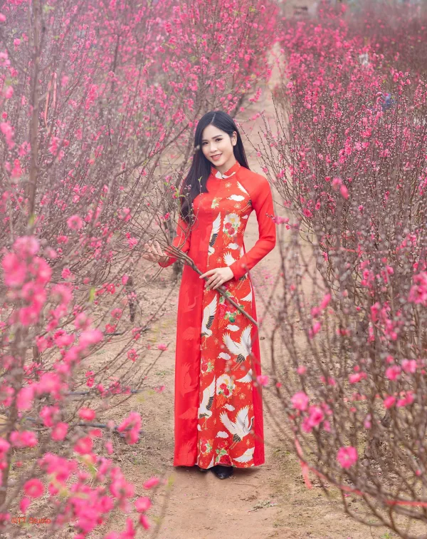 Chụp ảnh áo dài tết