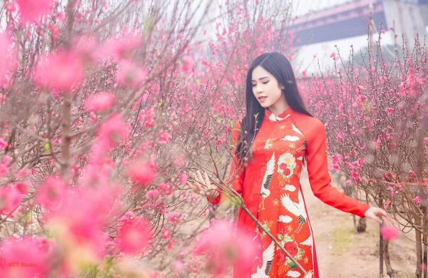Chụp ảnh áo dài tết