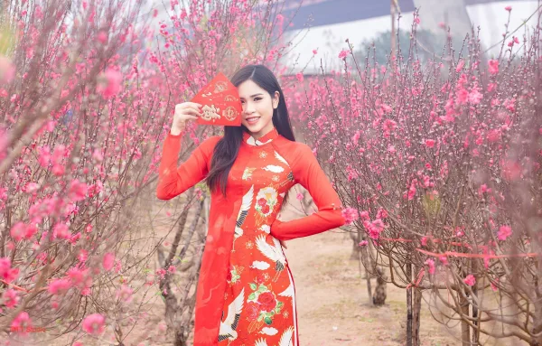 Chụp ảnh áo dài tết