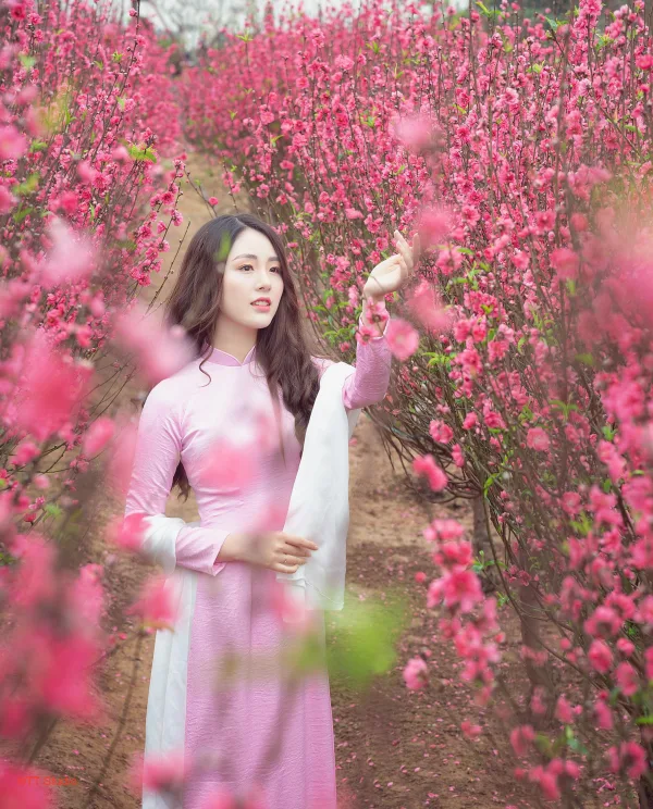 Chụp ảnh áo dài tết
