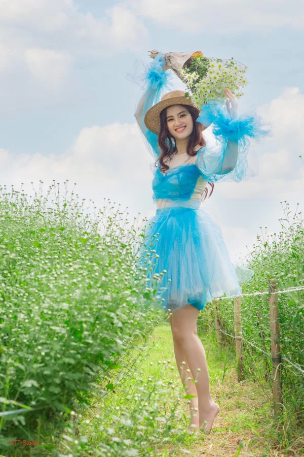 Chụp ảnh cúc hoạ mi đẹp
