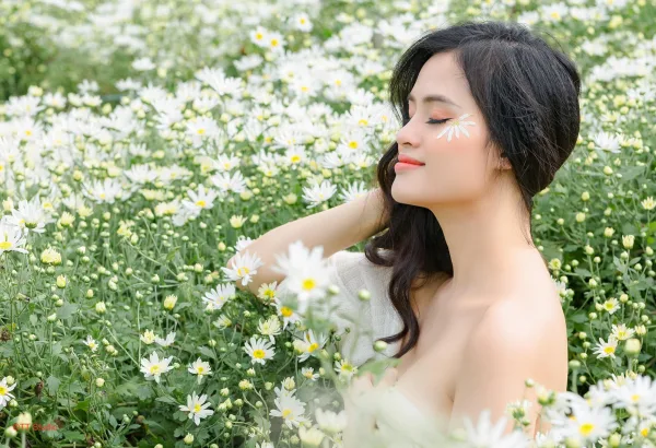 Chụp ảnh cúc hoạ mi đẹp