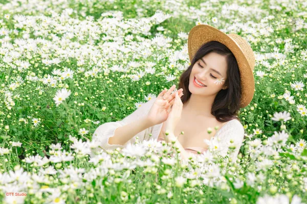 Ảnh cúc hoạ mi đẹp