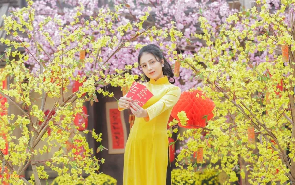 Ảnh tết đẹp