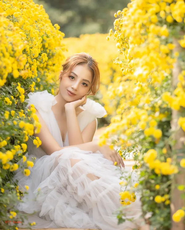 Chụp ảnh thung lũng hoa Hồ Tây