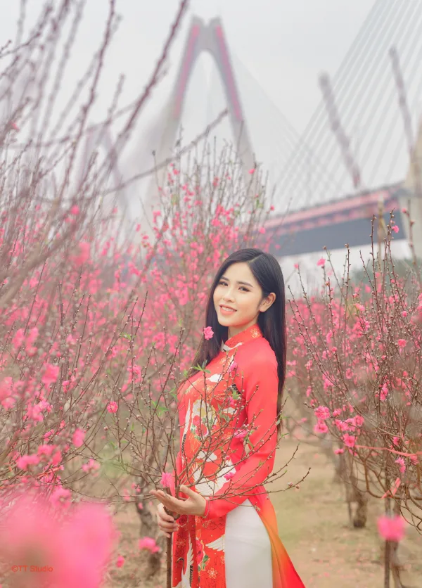 Chụp ảnh áo dài tết cầu nhật tân