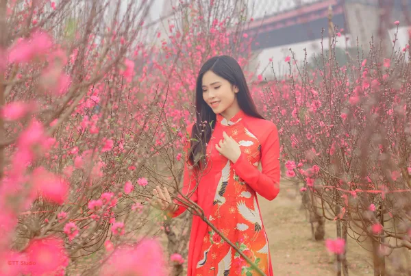 Chụp ảnh áo dài tết cầu nhật tân