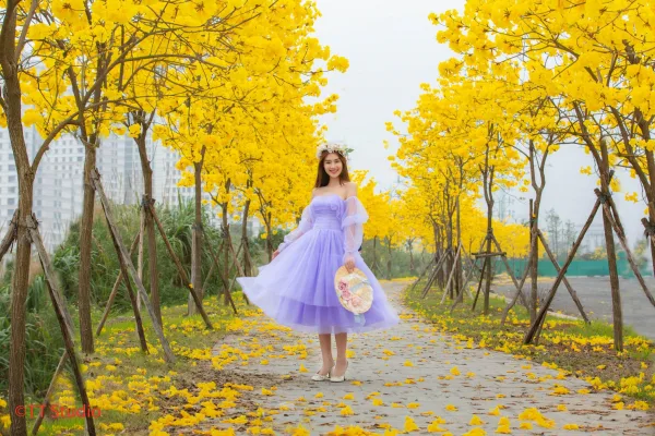 Váy công chúa chụp ảnh