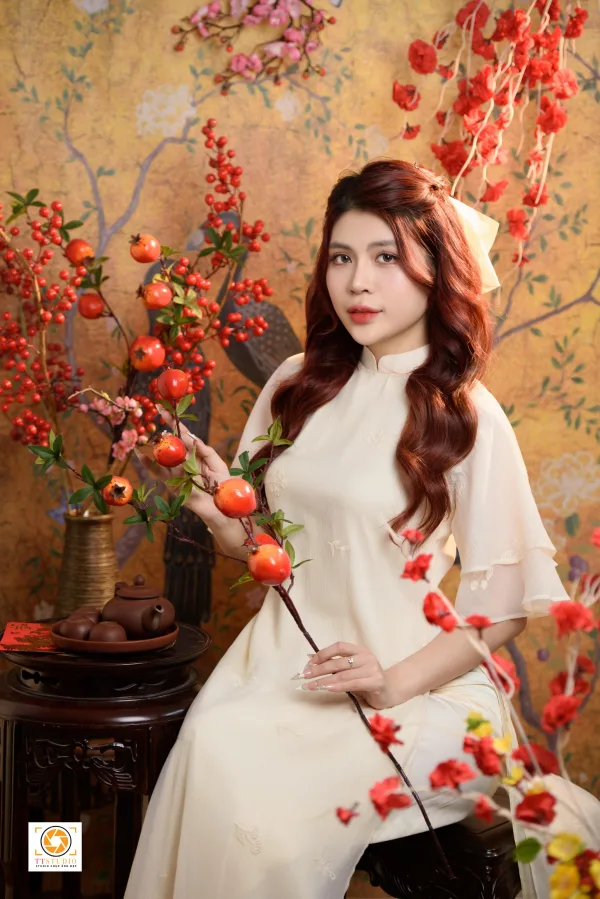 Concept tết