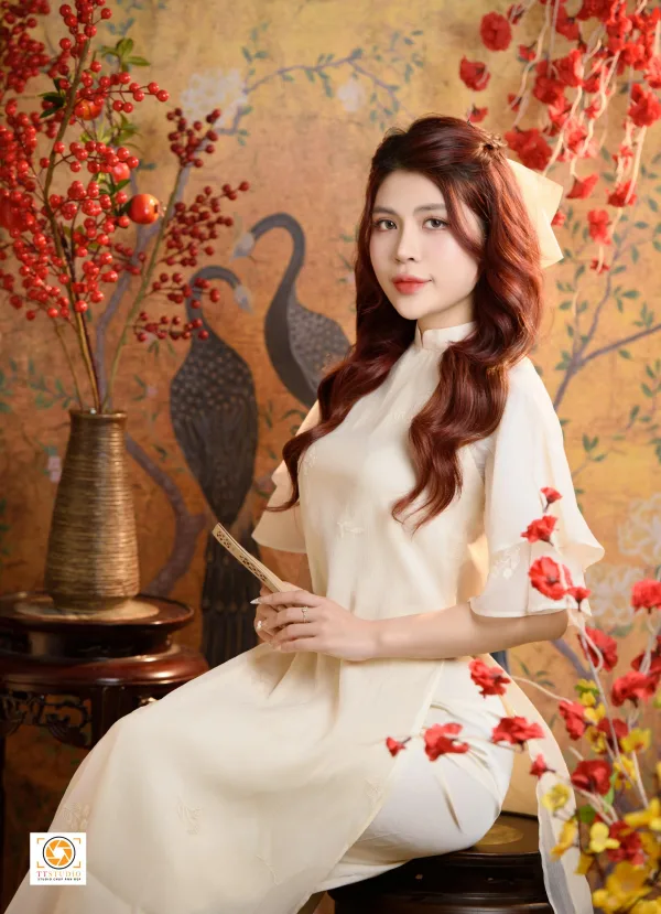 Concept tết