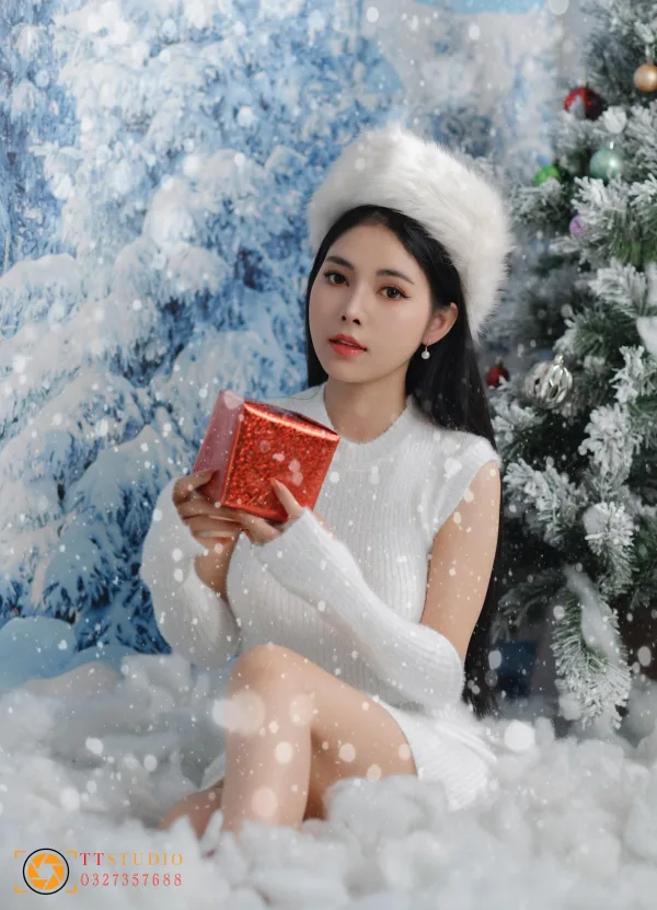 Concept chụp noel