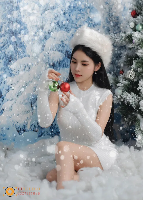 Concept chụp noel