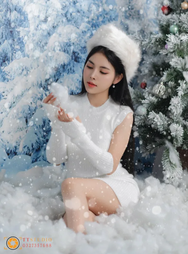 Concept chụp noel