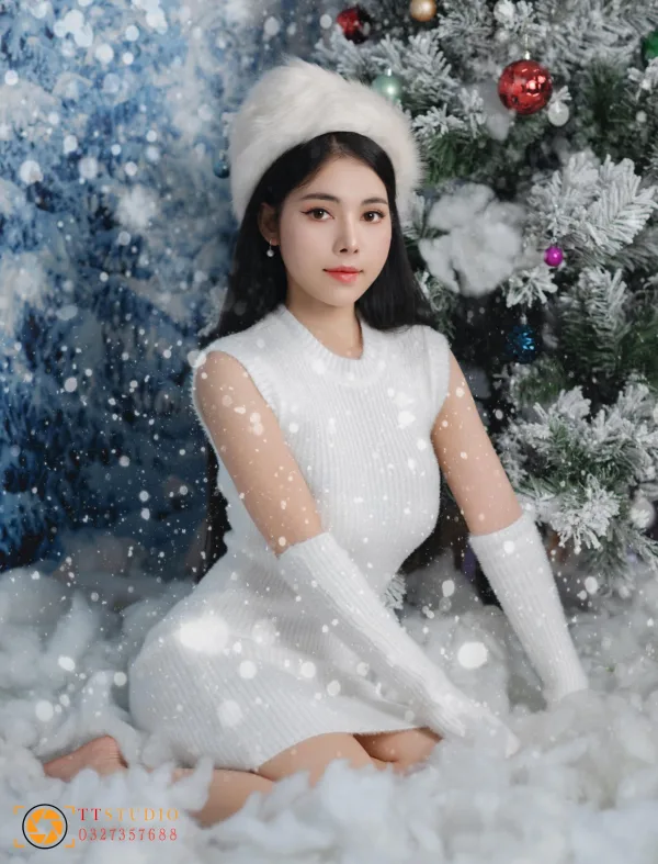 Concept chụp noel
