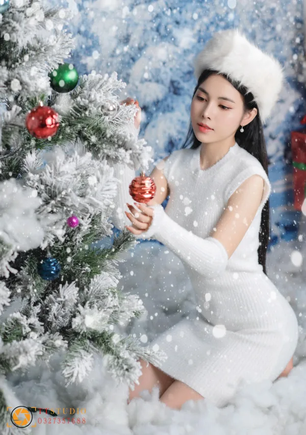 Concept chụp noel