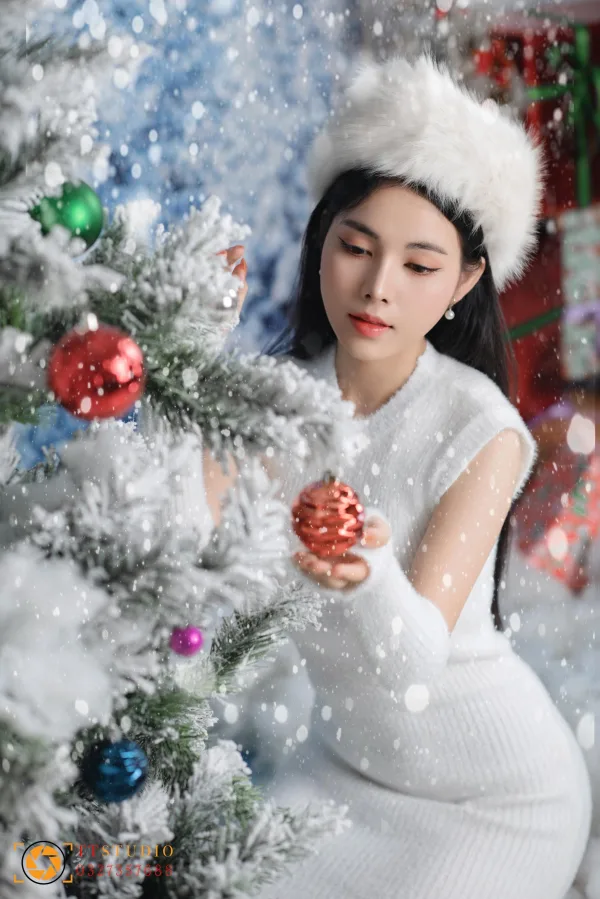 Concept chụp noel