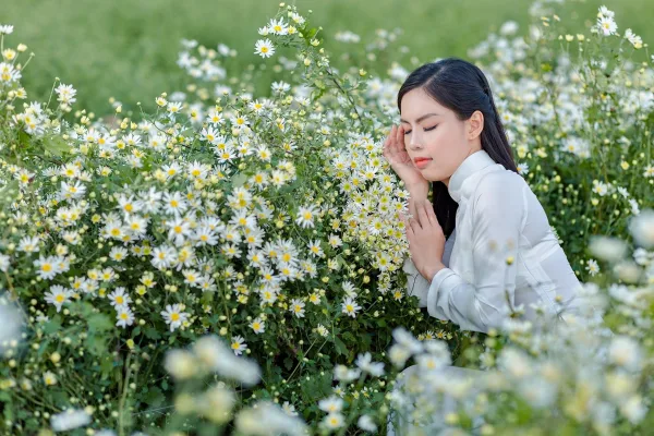 Chụp ảnh cúc họa mi bãi đá sông hồng