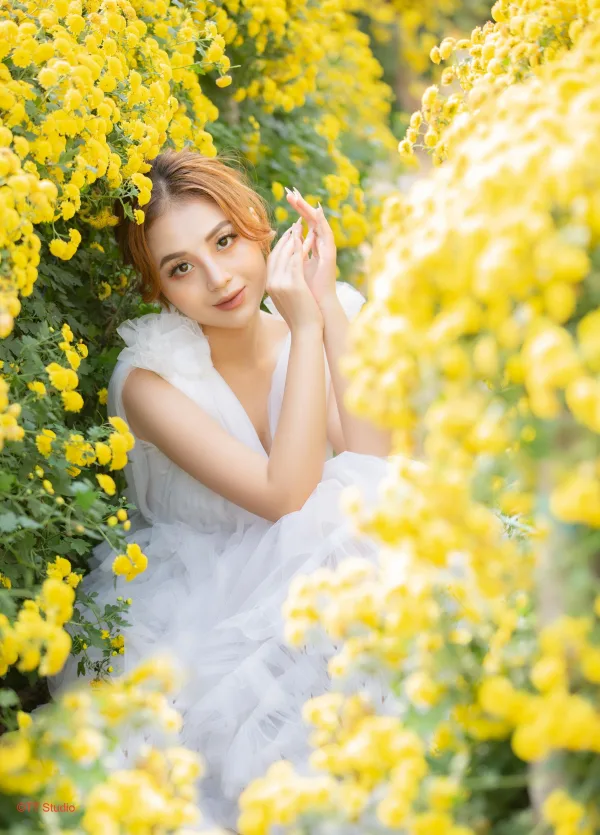 Ảnh hoa cúc chi thung lũng hoa hồ tây