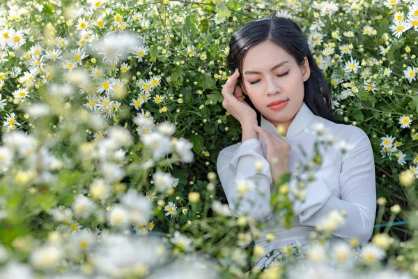 Chụp ảnh cúc họa mi bãi đá sông hồng