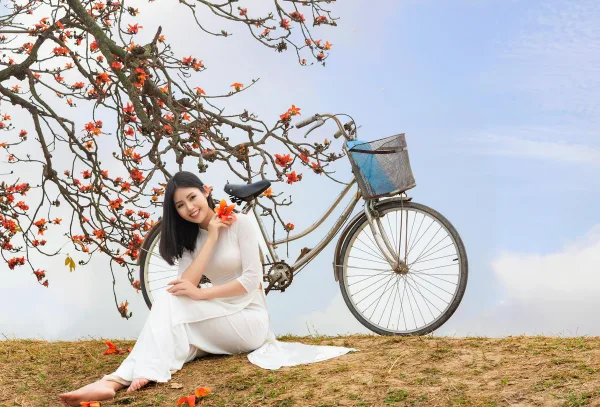 Ảnh hoa gạo đẹp