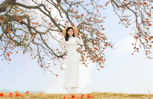 Ảnh hoa gạo đẹp