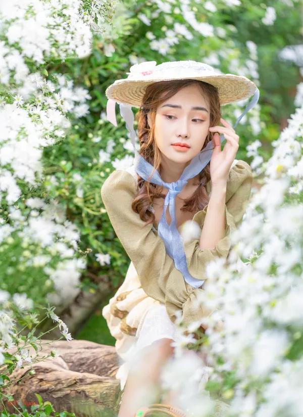 Hình ảnh cúc hoạ mi đẹp nhất