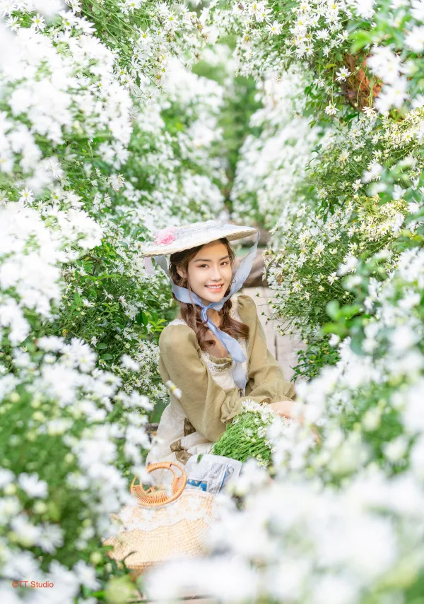 Hình ảnh cúc hoạ mi đẹp nhất