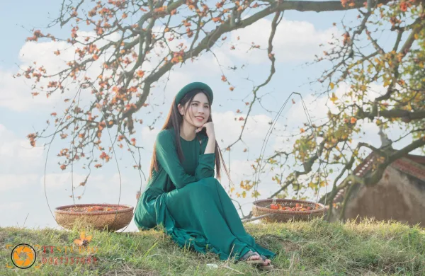 Hình ảnh Hoa Gạo